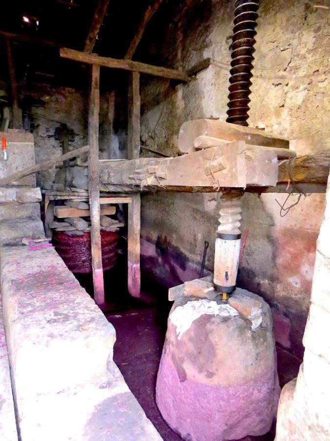 Casa La Vigna Villa Puntalazzo Екстериор снимка